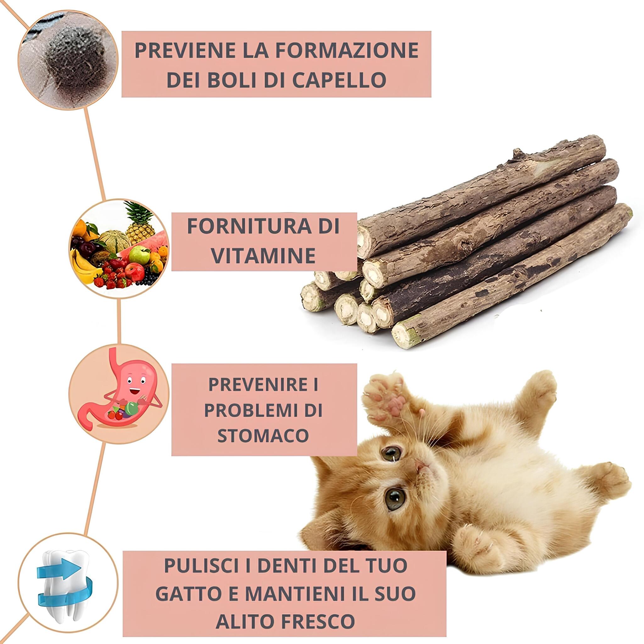 Bastoncini in matatabi per gatti 100% naturali di Zoov 5 pezzi