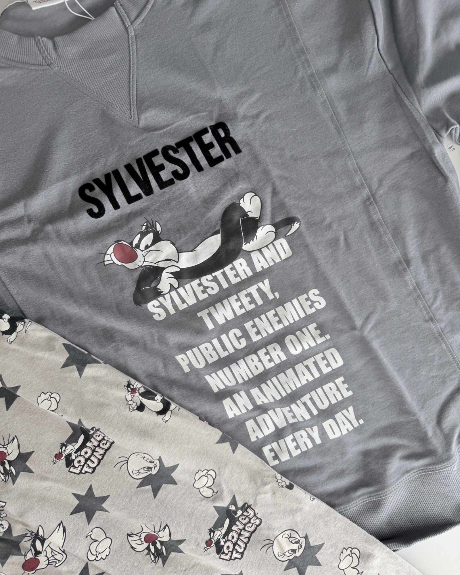 Dettaglio maglia floccata Sylvester e pantalone Looney Tunes del pigiama uomo Gisela 20476
