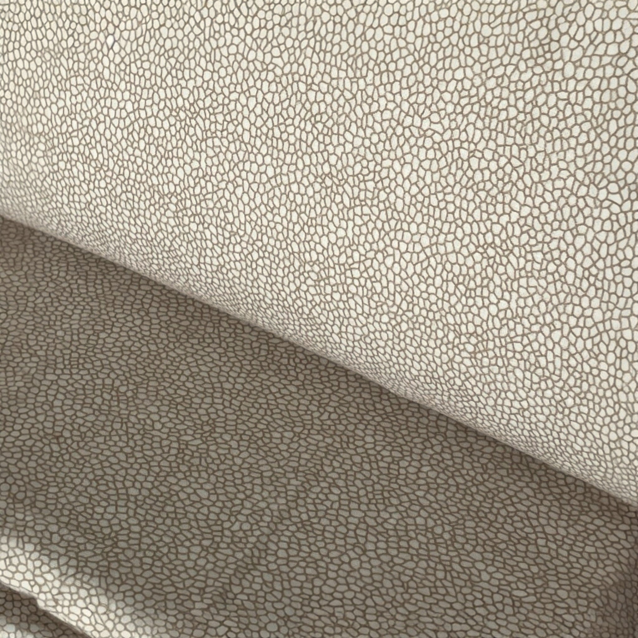 Primo piano del tessuto in flanella Rebecca Home Nicol fantasia micro-pattern colore beige